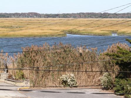 210 81st, Sea Isle City, NJ, 08243 Aditional Picture