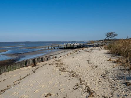 147 Beach, Cape May Court House, NJ, 08210 Aditional Picture