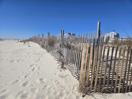 610 Beach, Cape May, NJ, 08204 Aditional Picture