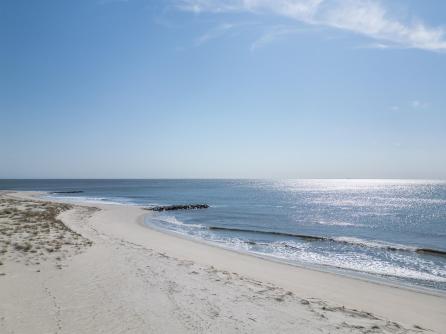 225 Brainard, Cape May Point, NJ, 08212 Aditional Picture