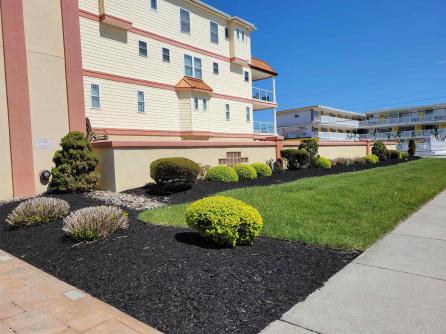 415 Heather, Unit 105, Wildwood Crest, NJ, 08260 Aditional Picture