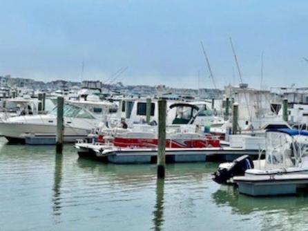 717 Rio Grande, Wildwood, NJ, 08260 Aditional Picture