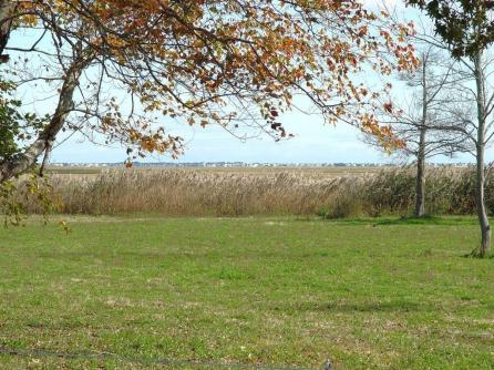 530 Stone Harbor, Cape May Court House, NJ, 08210 Aditional Picture