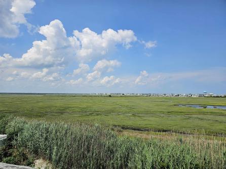 329 56th, Sea Isle City, NJ, 08243 Aditional Picture
