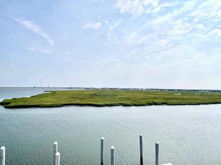 885 21st, Avalon, NJ, 08202 Aditional Picture