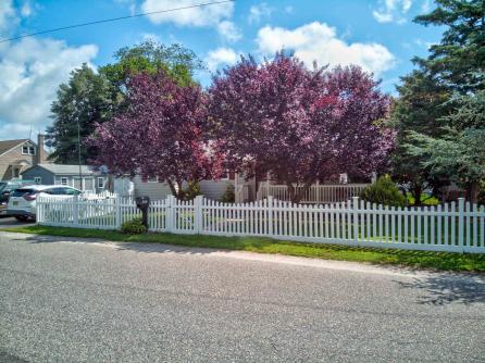 1702 Woolson, Villas, NJ, 08021 Aditional Picture