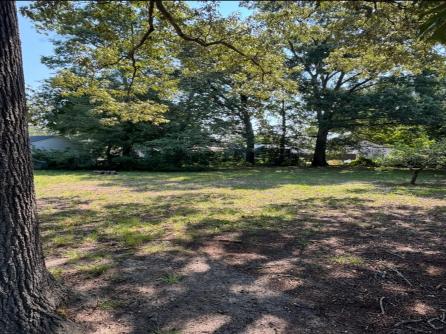 205 Bates, Villas, NJ, 08251 Aditional Picture