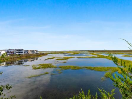 210 52nd, Sea Isle City, NJ, 08243 Aditional Picture