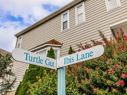 524 Turtle Gut, Lower Township, NJ, 08260 Aditional Picture