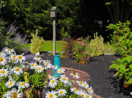 215 Boyd, Cape May Court House, NJ, 08210 Aditional Picture