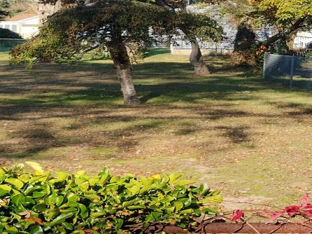 19 Wilde, Villas, NJ, 08251 Aditional Picture