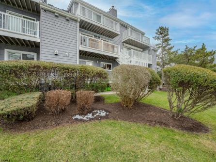 308 Limpet, 308, Ocean City, NJ, 08226 Aditional Picture