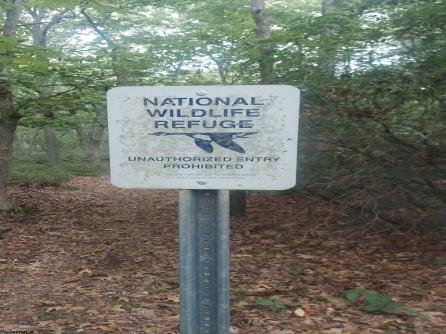  E Somers Landing, Galloway Township, NJ, 08205 Aditional Picture