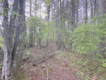 432 Pancoast Mill, Buena Vista Township, NJ, 08310 Aditional Picture