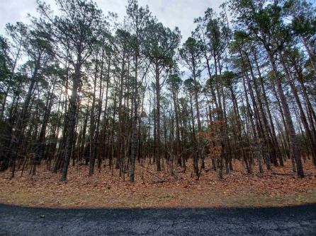 0 Pomona, Galloway Township, NJ, 08205 Aditional Picture