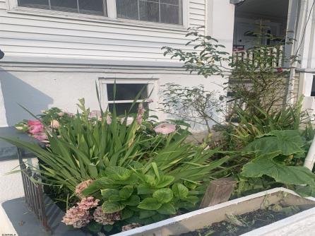 19 Elberon Ave, Atlantic City, NJ, 08401 Aditional Picture