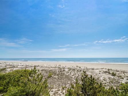 9 85th St, North Side, Sea Isle City, NJ, 08243 Aditional Picture