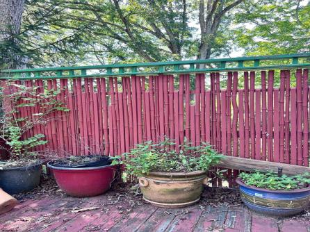 1021 Darmstadt, Mullica Township, NJ, 08215 Aditional Picture