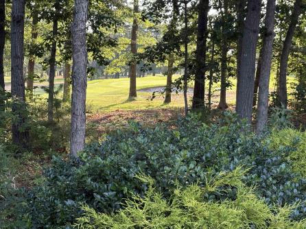 290 Pebble Beach, Hamilton Township, NJ, 08330 Aditional Picture