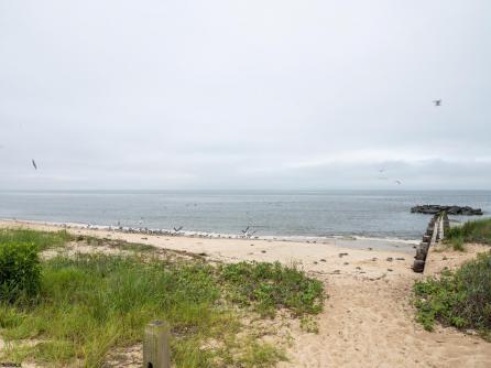 101 Avalon Rd, Cape May, NJ, 08204 Aditional Picture