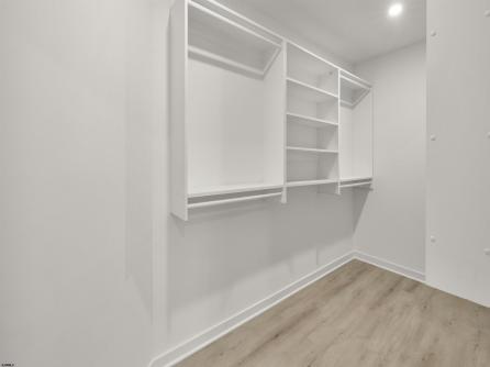 506 Garfield Ave, Linwood, NJ, 08221 Aditional Picture