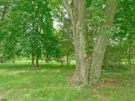 1315 Mays Landing, Folsom Borough, NJ, 08037 Aditional Picture