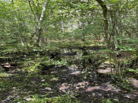  Hunter + Baker, Mays Landing, NJ, 08330 Aditional Picture