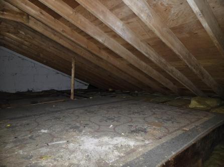 3733 Drexel, Pennsauken Township, NJ, 08110 Aditional Picture