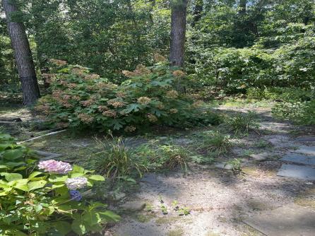 4902 Winterbury, 4902, Hamilton Township, NJ, 08330 Aditional Picture