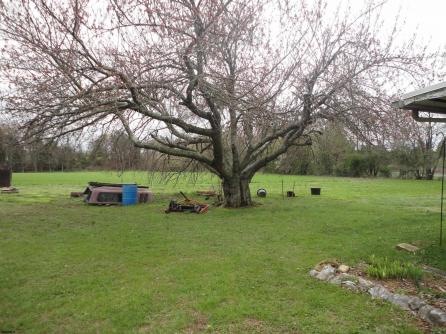 140 Walters Rd, Bridgeton, NJ, 08302 Aditional Picture