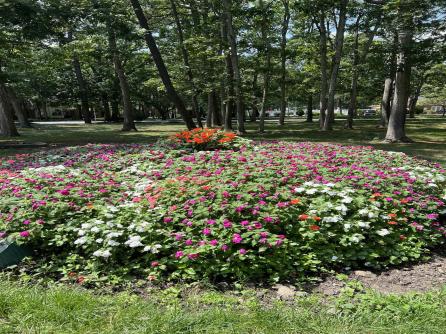 24 Country Magnolia, 24, Egg Harbor Township, NJ, 08234 Aditional Picture