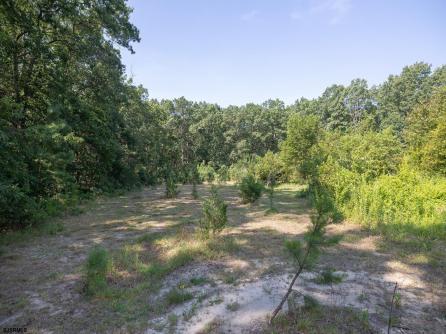 4480 Lombard St, Mays Landing, NJ, 08330 Aditional Picture