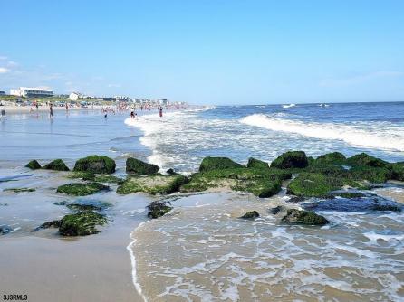 715 Sterling, Brigantine, NJ, 08203 Aditional Picture