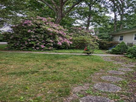 407 Jefferson, Linwood, NJ, 08221 Aditional Picture