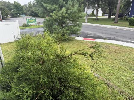 715 Park, Mays Landing, NJ, 08330 Aditional Picture