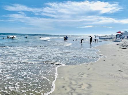 5000 Boardwalk, 1903, Ventnor, NJ, 08406 Aditional Picture