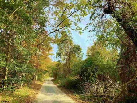 Scotts Scotts Landing Road Road, Smithville, NJ, 08205 Aditional Picture