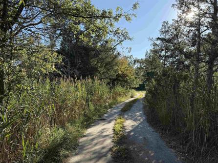 1455 Somers Point, Egg Harbor Township, NJ, 08234 Aditional Picture