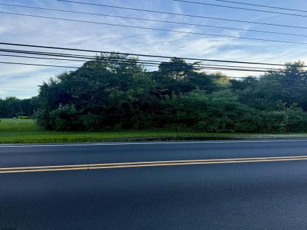 113 Woodbine Ocean View Rd, Ocean View, NJ, 08230 Main Picture