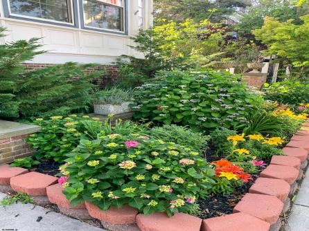26 LaClede, Lower Chelsea, NJ, 08401 Aditional Picture