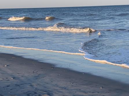 935 Ocean Ave, 225, Ocean City, NJ, 08226 Aditional Picture
