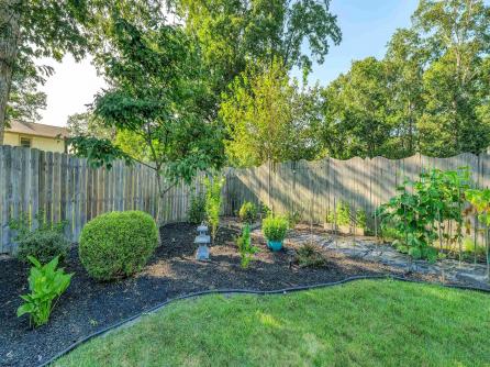 441 Vine Avenue, Galloway Township, NJ, 08205 Aditional Picture