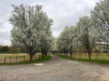 308 Willis Rd, Bridgeton, NJ, 08302 Aditional Picture