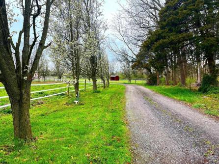 308 Willis Rd, Bridgeton, NJ, 08302 Aditional Picture