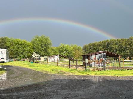 308 Willis Rd, Bridgeton, NJ, 08302 Aditional Picture