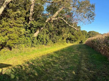 308 Willis Rd, Bridgeton, NJ, 08302 Aditional Picture