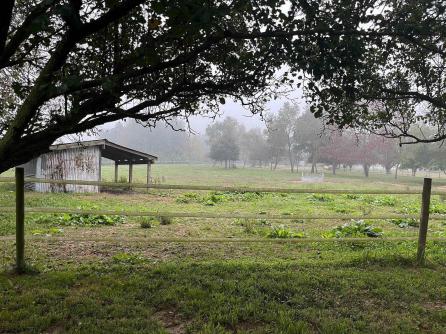 308 Willis Rd, Bridgeton, NJ, 08302 Aditional Picture