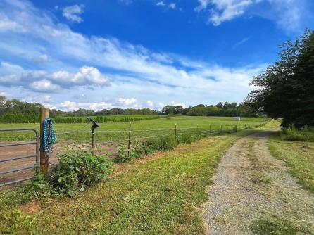 308 Willis Rd, Bridgeton, NJ, 08302 Aditional Picture