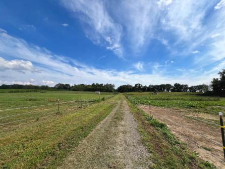 308 Willis Rd, Bridgeton, NJ, 08302 Aditional Picture