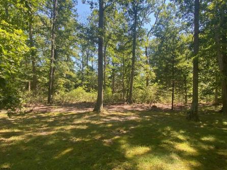 13132 Buckshutem Rd, Millville, NJ, 08332 Aditional Picture